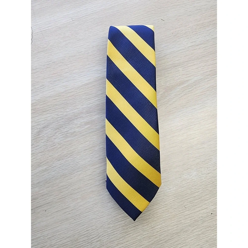 American Eagle Outfitters AEO Polyester Tie Blue & Yellow Stripes Men Necktie